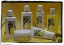 linea corpo all'olio di oliva